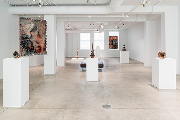 An installation image of the exhibition Sarah Rosalena: In All Directions at the Columbus Museum of Art at the Pizzuti