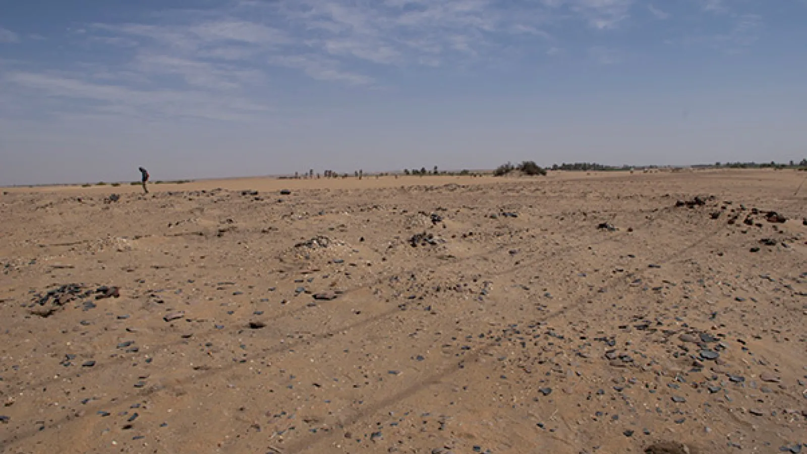 Northern Dongola region of Sudan at Es-Selim R4