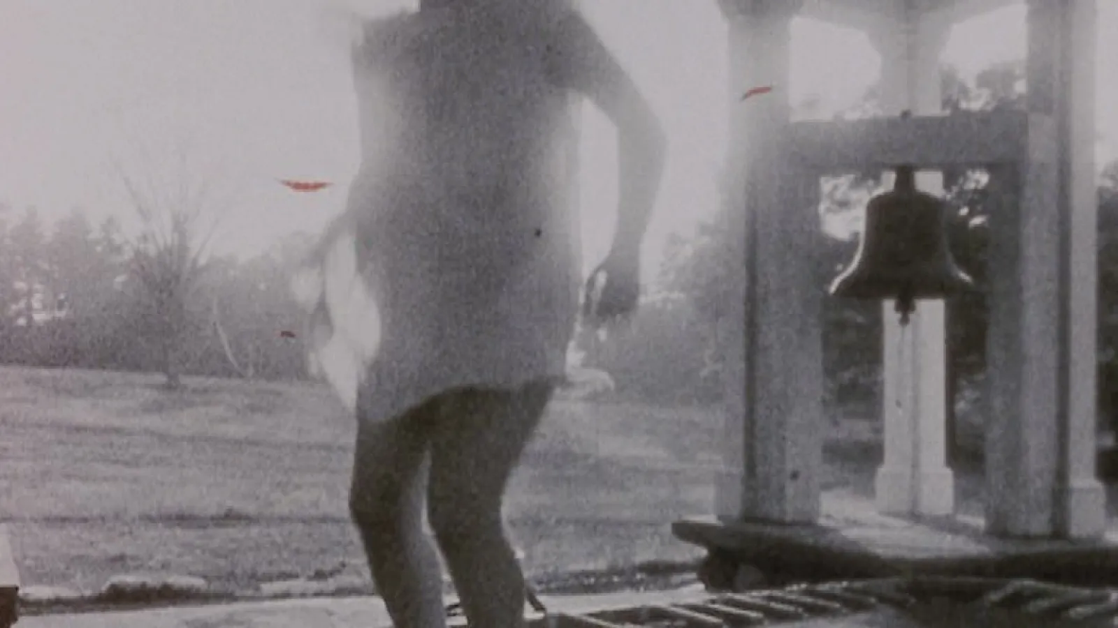 Jonas Mekas, Report from Millbrook (film still), 1966
