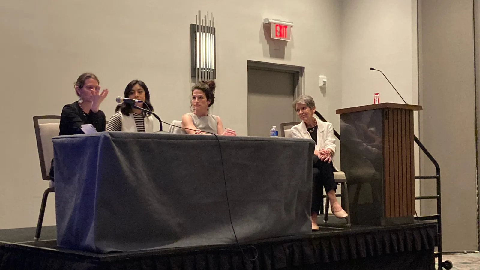 Karin Flora at panel