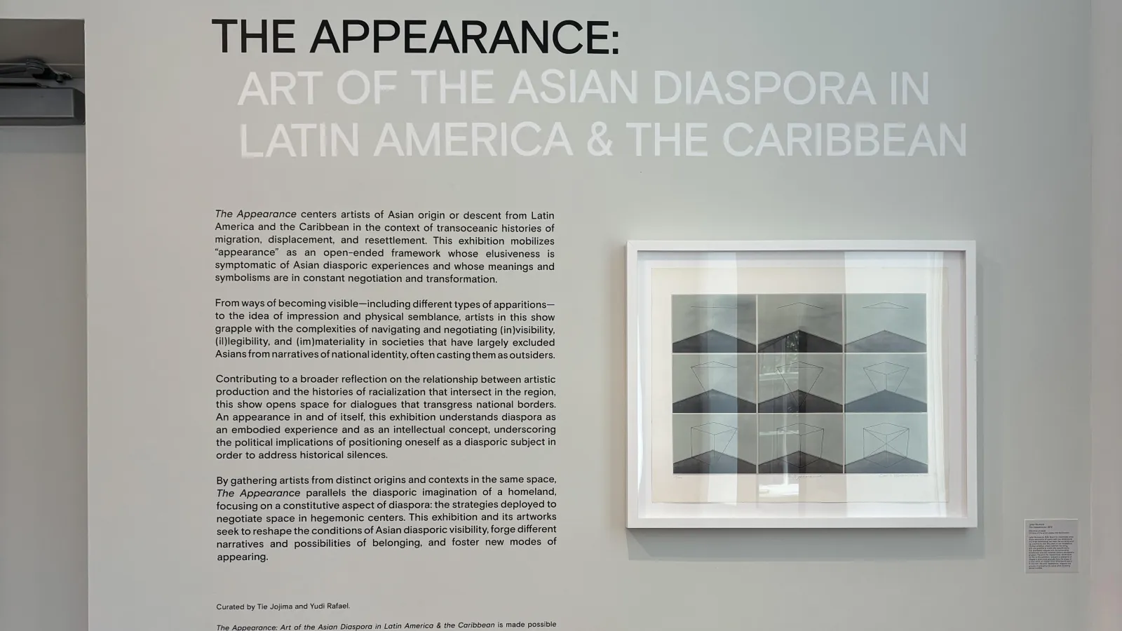 Framed artwork and description displayed on art gallery wall. The work is titled "The Appearance: Art of the Asian Diaspora In Latin America & The Caribbean