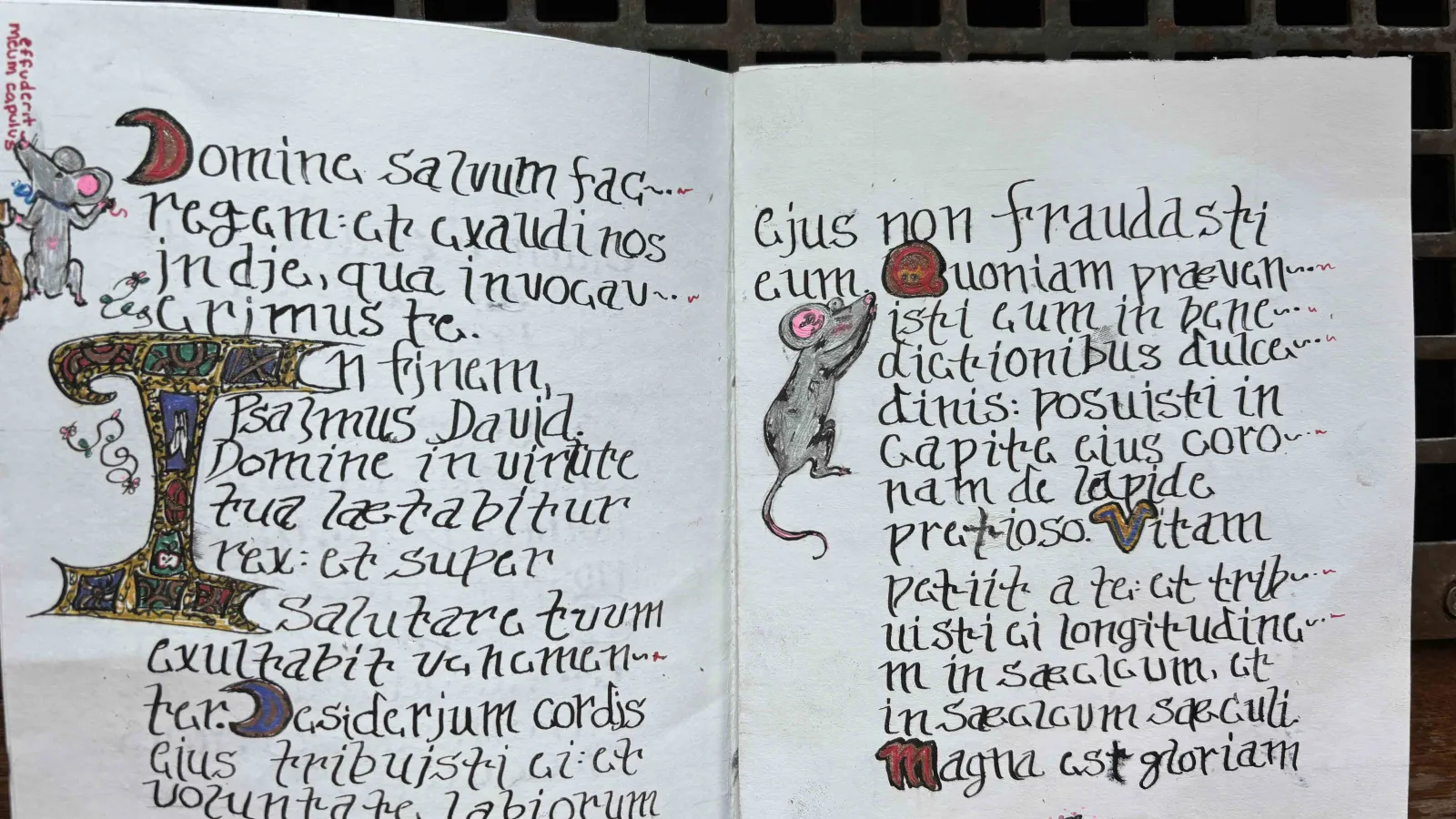 two open pages of text with mouse drawings