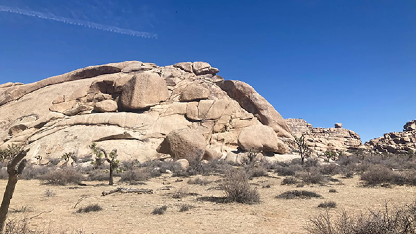 Desert in Southern California