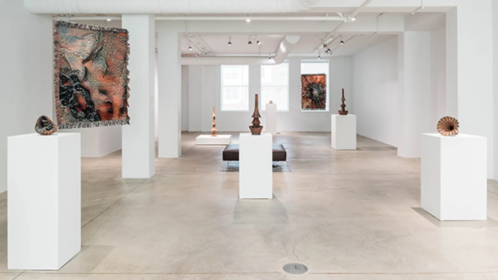 An installation image of the exhibition Sarah Rosalena: In All Directions at the Columbus Museum of Art at the Pizzuti