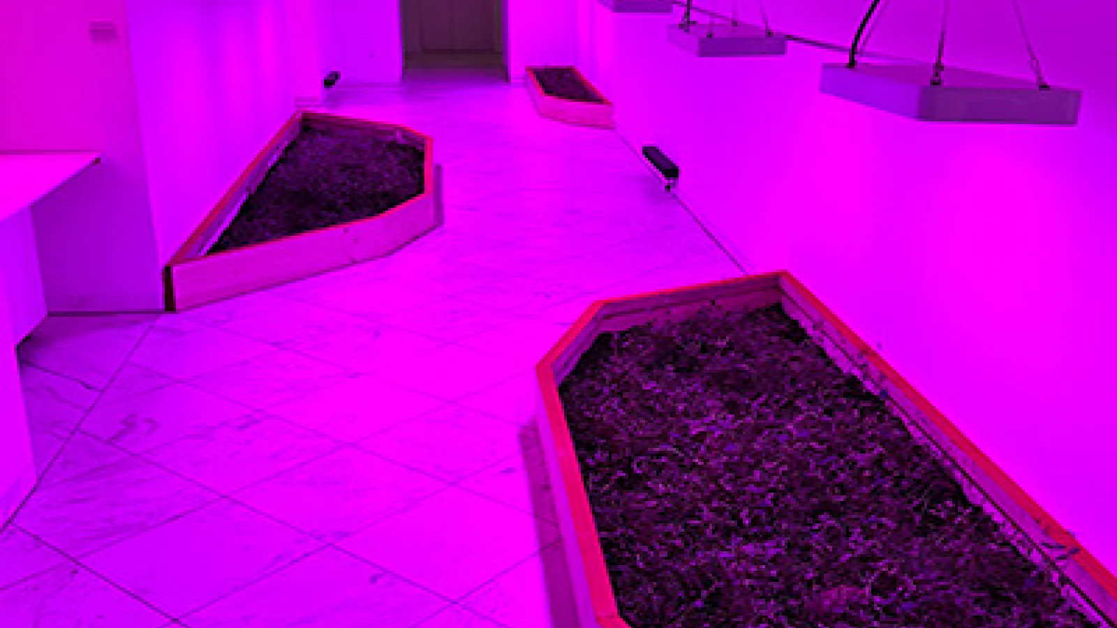 Installation shot of The Institute of Queer Ecology’s Yesterday, Today, Tomorrow (2024) in the exhibition “The Earth Does Not Need Us”