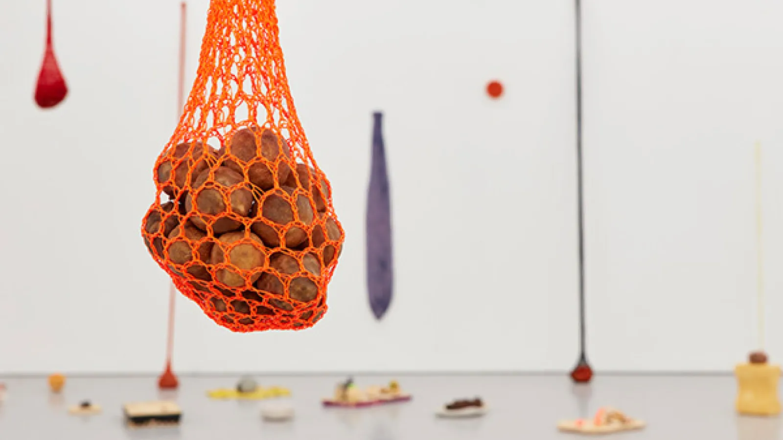 An installation view of a work by the artist Veronica Ryan
