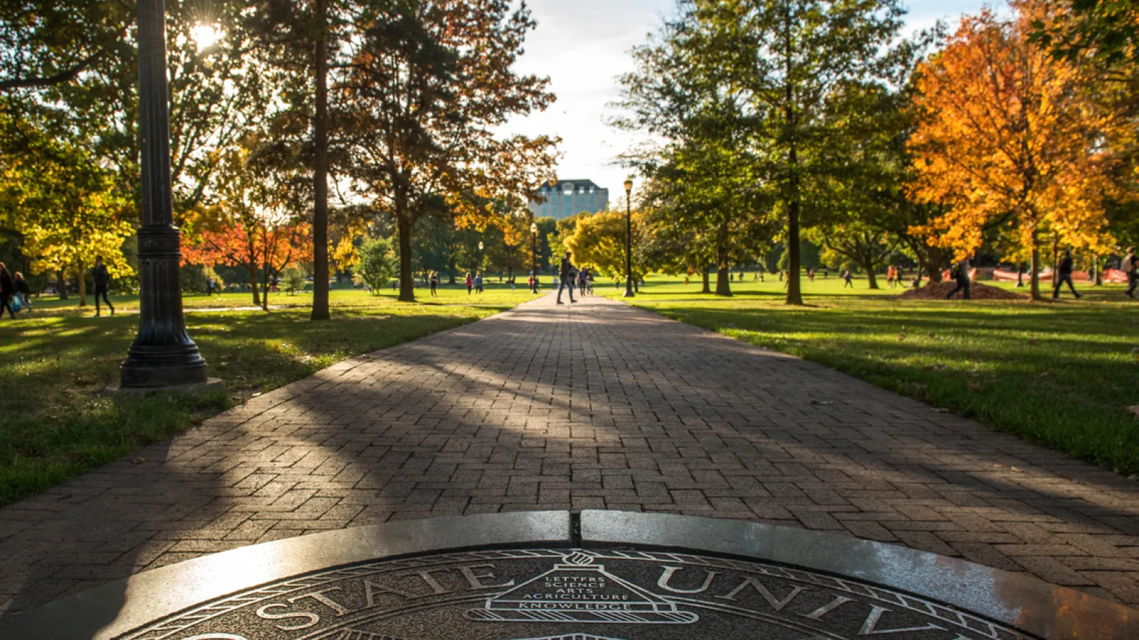 View of brick walkway with university emblem. 