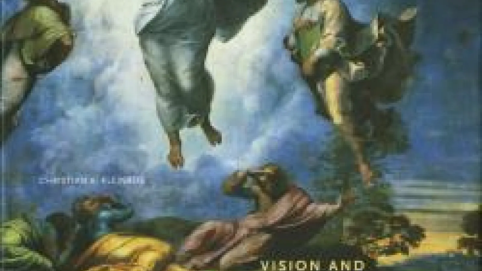 Vision and the Visionary in Raphael book cover