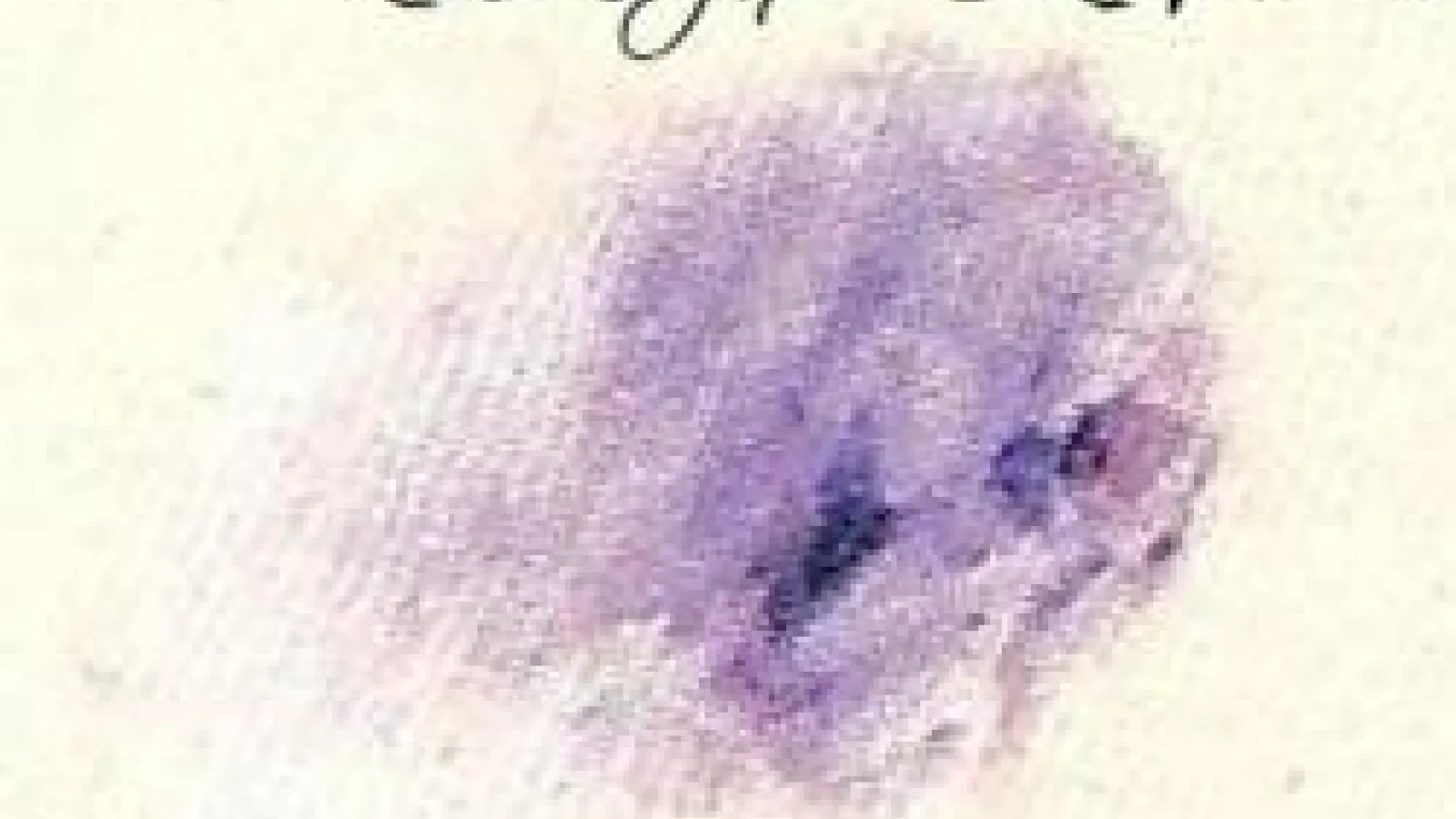 white textured paper with a purple splotch on it, rough draft written above it