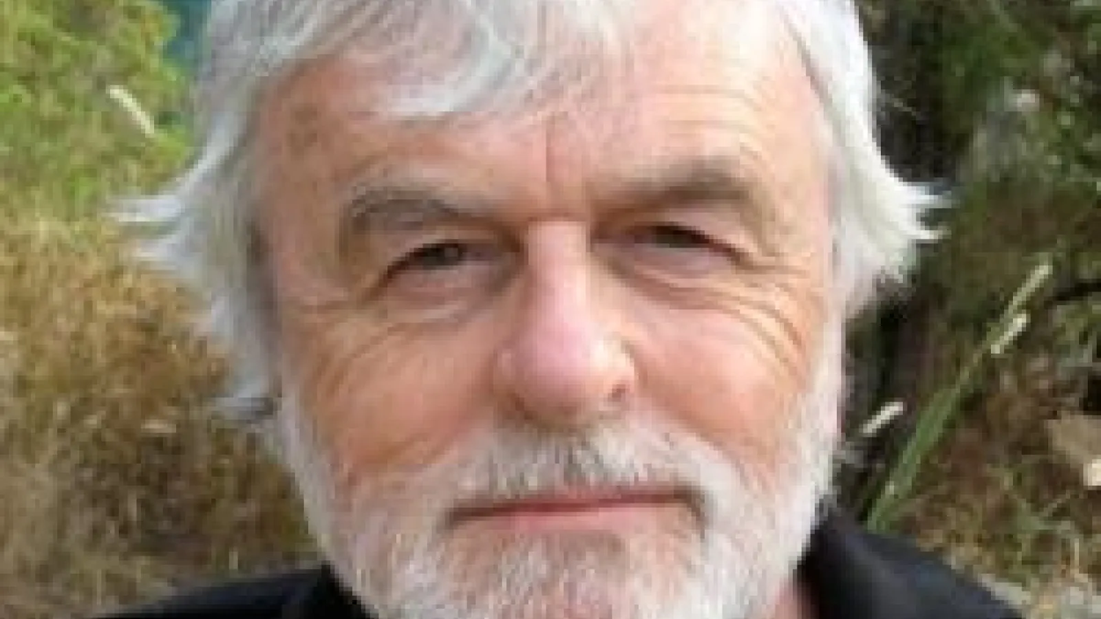 TJ Clark