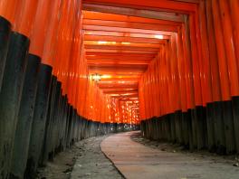 orange and black tunnel