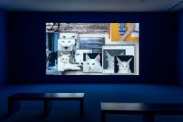 Camille Henrot, Grosse Fatigue (2013). Let me know if it works. 