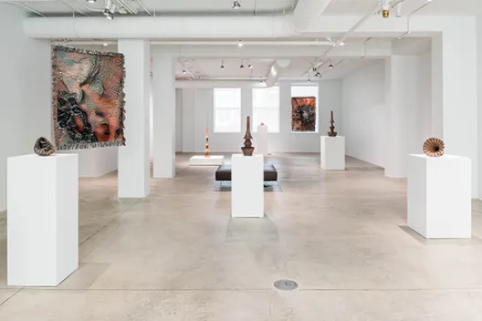 An installation image of the exhibition Sarah Rosalena: In All Directions at the Columbus Museum of Art at the Pizzuti