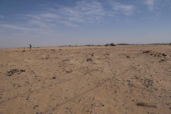 Northern Dongola region of Sudan at Es-Selim R4