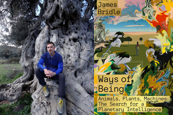 james bridle ways of being
