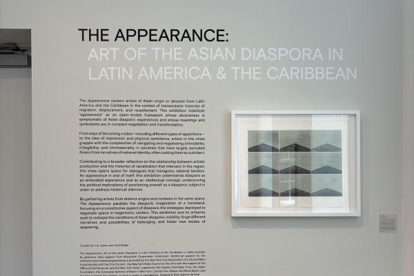 Framed artwork and description displayed on art gallery wall. The work is titled "The Appearance: Art of the Asian Diaspora In Latin America & The Caribbean