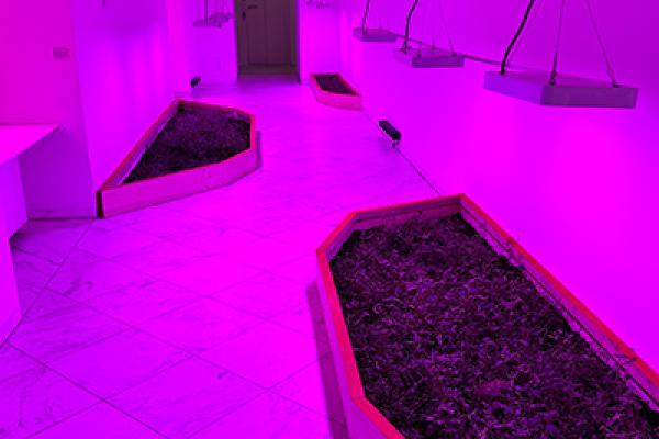 Installation shot of The Institute of Queer Ecology’s Yesterday, Today, Tomorrow (2024) in the exhibition “The Earth Does Not Need Us”