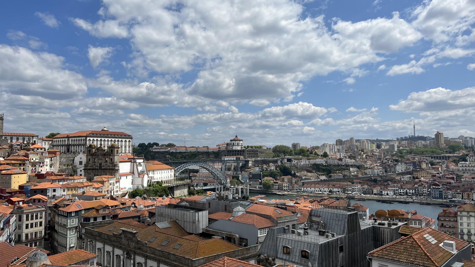 view of Porto from Parque de Serralves.   