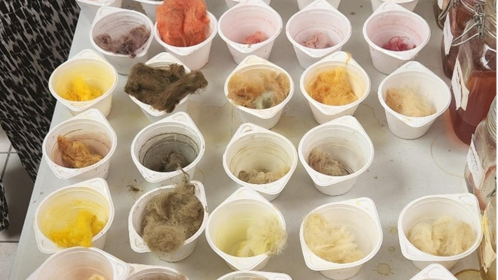 Different Textiles Displayed in Sample Cups
