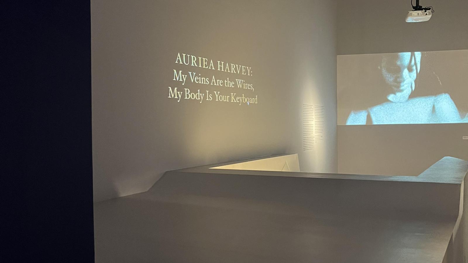 Exhibition view of Auriea Harvey: My Veins Are the Wires, My Body Is Your Keyboard