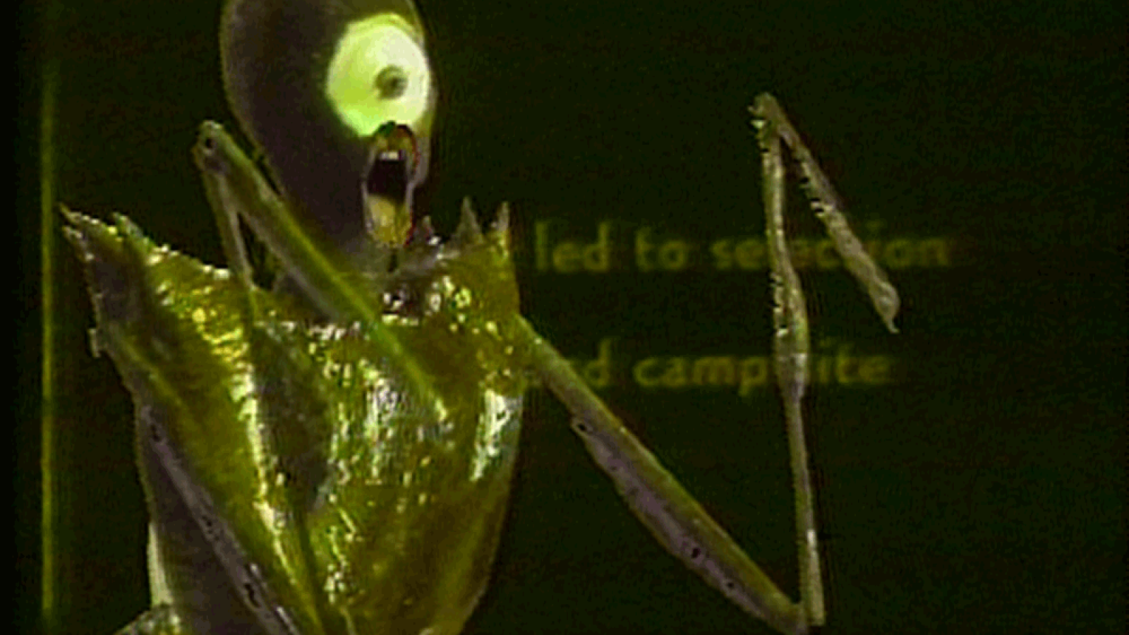 Still image from Branda Miller,  I Want Some Insecticide, 1986, 3:53 min, b&w and color, sound