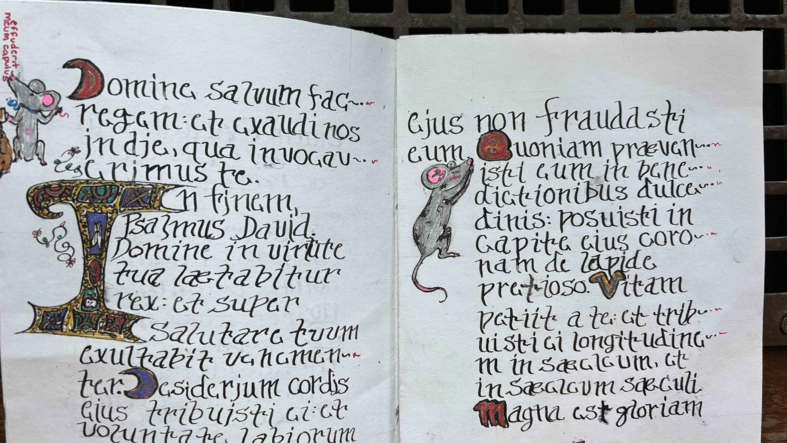 two open pages of text with mouse drawings